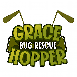 Grace Hopper game